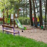 Róża Wiatrów *