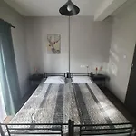 Róża Wiatrów *