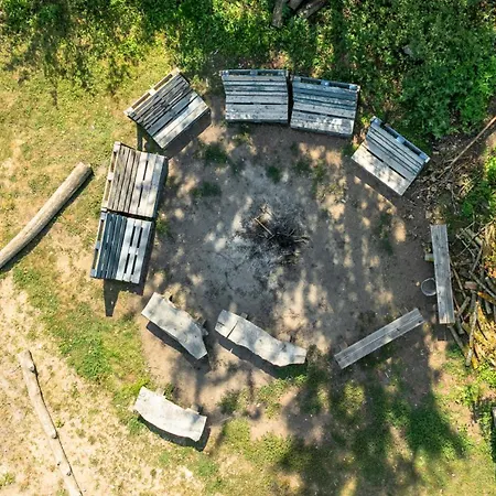 Roza Wiatrow Rezort *