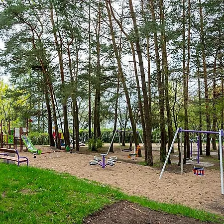 Róża Wiatrów *