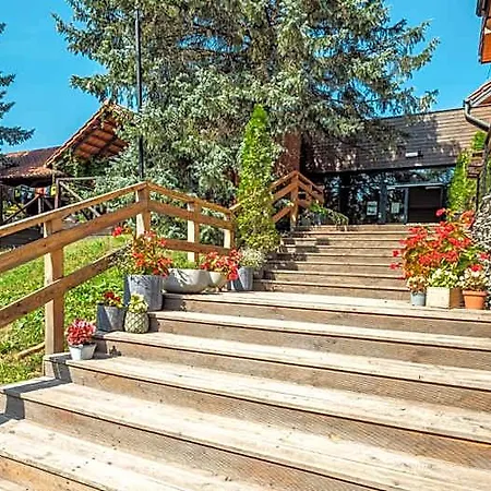 Resort Róża Wiatrów *