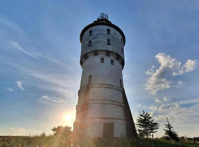 Róża Wiatrów Węgorzewo