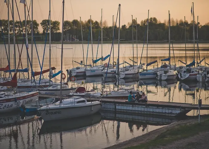 Róża Wiatrów * Węgorzewo