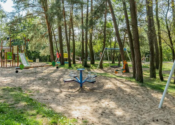 Róża Wiatrów Węgorzewo