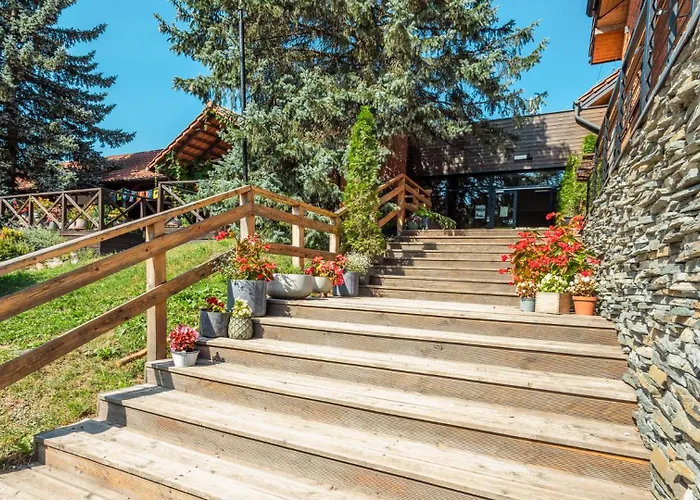 Ośrodek wypoczynkowy Róża Wiatrów *